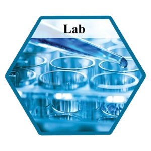 Lab