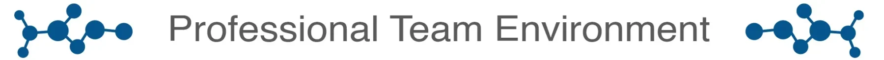 Professional Team Environment